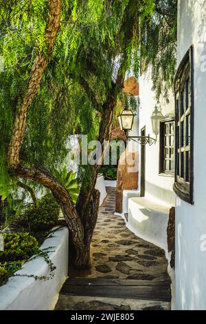 Das Lagomar-Museum wurde von Cesar Manrique in Nazaret, Lanzarote, erbaut Stockfoto