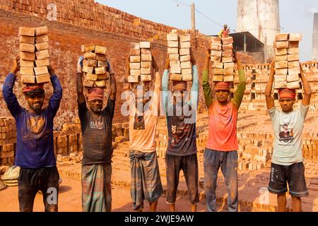 Dhaka, Dhaka, Bangladesch. Februar 2024. Arbeiter tragen in einem Ofen in Dhaka, Bangladesch, Steine mit einem Gewicht von mehr als 20 kg auf dem Kopf. Die Arbeiter '''', die weniger als Â£1 pro Schicht ''''' erhalten, bewegen bis zu 2.500 Steine pro Tag unter heißen Bedingungen. Rund 4 00.000 einkommensschwache Migranten kommen jedes Jahr aus verschiedenen Teilen des Landes nach Dhaka, um in brickfields zu arbeiten. Lange Arbeitszeiten unter sengender Sonne auf den Ziegelfeldern, massive Staubansammlungen, Sturzgefahr von LKW und Ziegelhaufen und das Tragen übermäßiger Lasten stellen eine ernste Gesundheitsgefährdung für die W dar Stockfoto