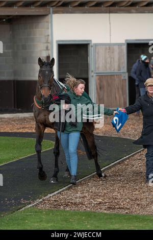 Wincanton Rennen 19. Februar 2022 - Rennen 5 Stockfoto