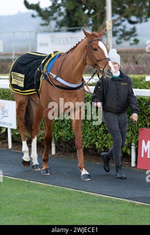 Wincanton Rennen 19. Februar 2022 - Rennen 5 Stockfoto