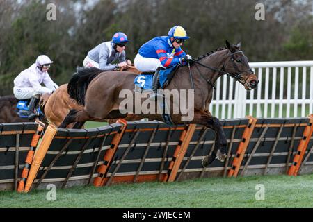 Wincanton Rennen 19. Februar 2022 - Rennen 5 Stockfoto
