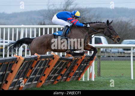 Wincanton Rennen 19. Februar 2022 - Rennen 5 Stockfoto