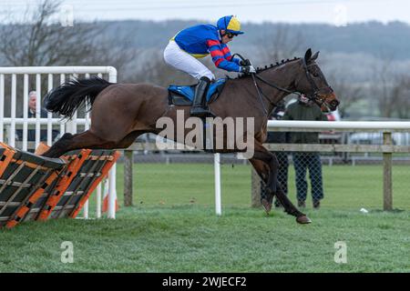 Wincanton Rennen 19. Februar 2022 - Rennen 5 Stockfoto