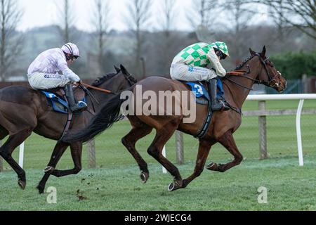 Wincanton Rennen 19. Februar 2022 - Rennen 5 Stockfoto
