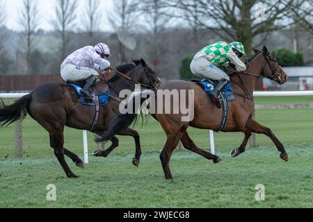 Wincanton Rennen 19. Februar 2022 - Rennen 5 Stockfoto