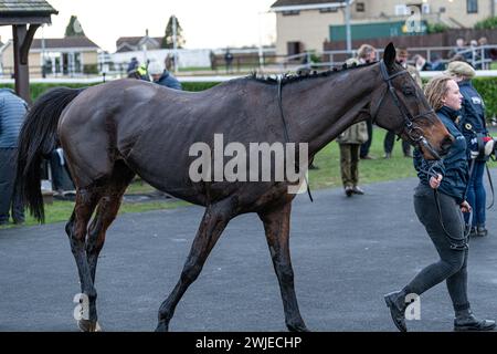 Wincanton Rennen 19. Februar 2022 - Rennen 5 Stockfoto