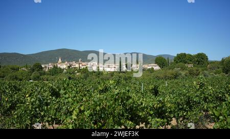 Lourmarin (Südostfrankreich): Weinberg und Dorf im Regionalen Naturpark Luberon Stockfoto