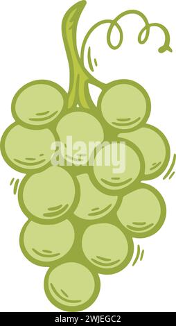 Clip-Art für einen Zweig reifer weißer Trauben Stock Vektor