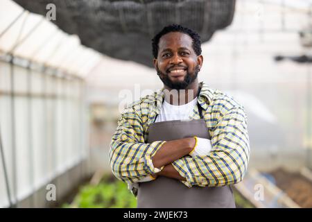 Glücklicher afrikanischer männlicher Farmer, der Porträt in Gewächshauslandwirtschaft steht, Kleinunternehmer Stockfoto