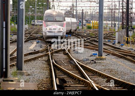 Belgien, Brüssel: Bahnhof Brüssel-Süd. TGV Inoui Hochgeschwindigkeitszug, der in den Bahnhof einfährt Stockfoto