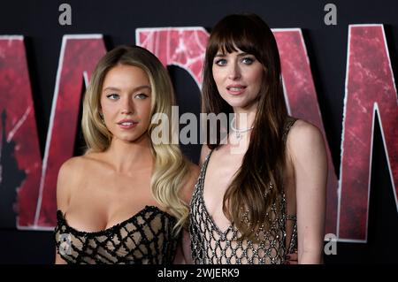 Sydney Sweeney und Dakota Johnson bei der Weltpremiere des Kinofilms 'Madame Web' im Regency Village Theatre. Los Angeles, 12.02.2024 Stockfoto