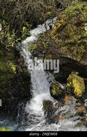 342+ hoher Wasserfluss aus Vevcani-Quellen, die vom Jablanica-Berg herunterfließen und dann durch das Dorf fließen. Vevchani-Nordmazedonien. Stockfoto