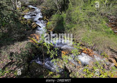 343+ hoher Wasserfluss aus Vevcani-Quellen, die vom Jablanica-Berg herunterfließen und dann durch das Dorf fließen. Vevchani-Nordmazedonien. Stockfoto