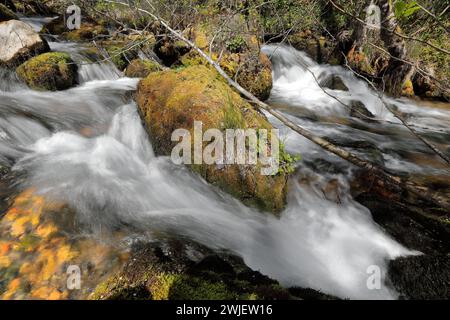 345 Hochfrequenzwasser aus den Quellen der Vevcani, die vom Jablanica-Berg hinabfließen und dann durch das Dorf fließen. Vevchani-Nordmazedonien. Stockfoto