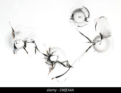 Satz von Löchern im Glas. Unterbrochene Fensterstruktur auf weißem Hintergrund. Makro. Stockfoto