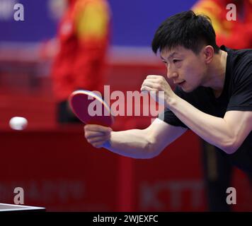 Busan, Südkorea. Februar 2024. Der chinesische Spieler Ma Long nimmt am 15. Februar 2024 in Busan, Südkorea, an einer Trainingseinheit vor dem Finale der ITTF World Team Table Tennis Championships 2024 Teil. Die Veranstaltung findet hier vom 16. Bis 25. Februar statt. Quelle: Yao Qilin/Xinhua/Alamy Live News Stockfoto