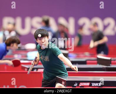 Busan, Südkorea. Februar 2024. Der chinesische Spieler Sun Yingsha nimmt am 15. Februar 2024 in Busan, Südkorea, an einer Trainingseinheit vor dem Finale der ITTF World Team Table Tennis Championships 2024 Teil. Die Veranstaltung findet hier vom 16. Bis 25. Februar statt. Quelle: Yao Qilin/Xinhua/Alamy Live News Stockfoto