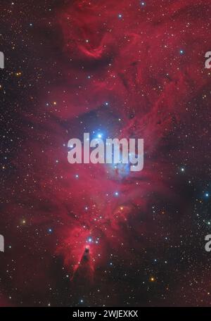 Kegel-Nebel und Weihnachtsbaum Cluster im Sternbild Monoceros Stockfoto