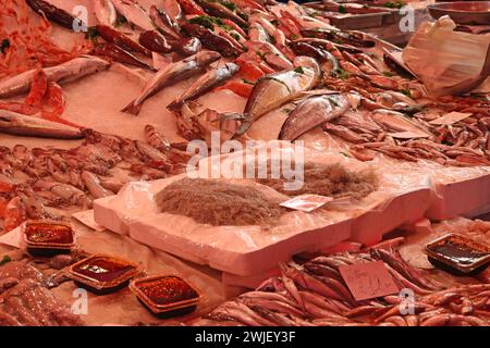Verschiedene mediterrane Fischsorten im Fish Market, Catania, Sizilien Stockfoto