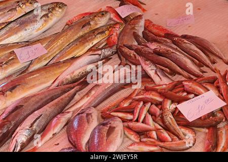 Verschiedene mediterrane Fischsorten im Fish Market, Catania, Sizilien Stockfoto