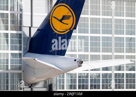 München, Deutschland. Februar 2024. Ein Lufthansa-Flugzeug parkt in einem Lufthansa Technik-Wartungshangar am Flughafen München. Quelle: Peter Kneffel/dpa/Alamy Live News Stockfoto