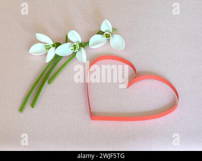 Schneeglöckchen zarte weiße Blumen und rotes Papierherz auf weichem rosa Stoffhintergrund Stockfoto