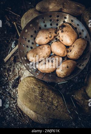Kochen in der Wildnis Lagerfeuer gebackene Bratkartoffeln Rezept Camping Outdoor Kochideen Stockfoto