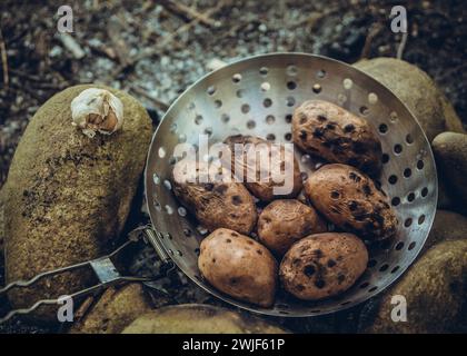 Kochen in der Wildnis Lagerfeuer gebackene Bratkartoffeln Rezept Camping Outdoor Kochideen Stockfoto