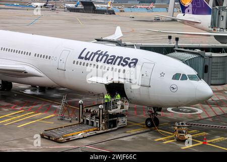 D-AIFE Lufthansa Airbus A340-313, Passau, am Flughafen Frankfurt Main Rhein-Main-Flughafen. FRA/EDDF - Betreiber Fraport. Frankfurt am Main, Hessen, DEU, Deutschland, 14.02.2024 *** D AIFE Lufthansa Airbus A340 313, Passau, am Flughafen Frankfurt Main Rhein Main FRA EDDF Operator Fraport Frankfurt am Main, Hessen, DEU, Deutschland, 14 02 2024 Stockfoto