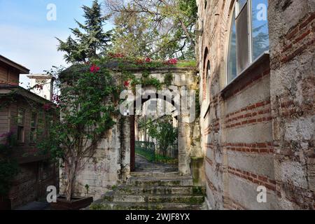 Typische Istanbuler Architektur in der Altstadt, Sultanahmet-Viertel Stockfoto