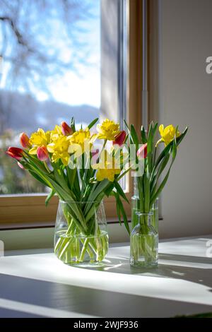 Glasvasen mit Frühlingsblumen auf einem weißen Tisch in der Nähe des Fensters Stockfoto