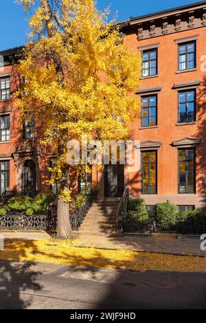West Village Stadthäuser mit Ginkgo-Bäumen im Herbst. Manhattan, New York City Stockfoto