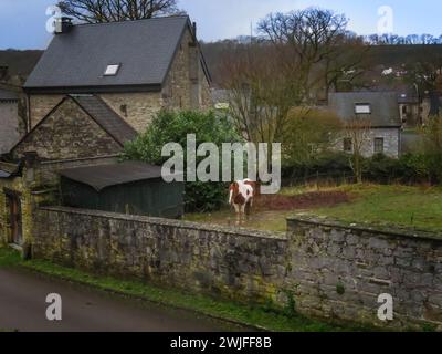 Belgien, Pferd im Dorf Hamoir in den Ardennen. Stockfoto