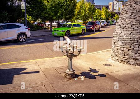 Portland, Oregon, USA – Taubenlandung auf einem Wasserbrunnen Stockfoto