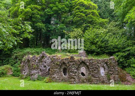 Die Hermitage Lodge ist ein rustikales Tor, das 1860 am Eingang zum Kilronan Castle aus dem 19. Jahrhundert in County Roscommon, Irland, erbaut wurde. Stockfoto