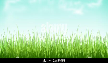 Grasfeld, Sommergras Hintergrund, frisches grünes Gras auf dem Rasen unter strahlenden Sonnenstrahlen. Landschaft, Grün, Rasen, Wiese, Feld. Stockfoto
