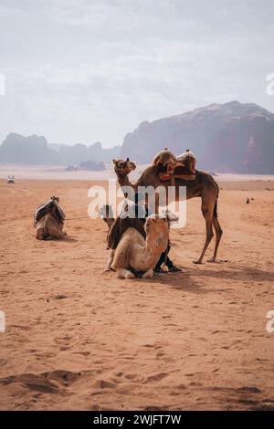 Landschaften rund um Südostasien und Jordanien Stockfoto