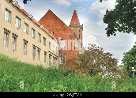 Piast Schloß in Legnica, Polen Stockfoto