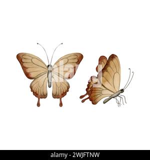 Set aus zwei braunen Schmetterlingen. Aquarellabbildung handgemalt isoliert auf weißem Hintergrund. Perfekt für Einladungen, Grußkarten, Poster, Etiketten Stockfoto