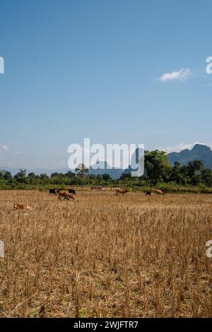 Landschaften rund um Südostasien und Jordanien Stockfoto