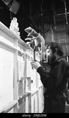 Puppenspieler Jim Henson (1936–1990) während eines Fotoshootings hinter den Kulissen mit Kermit dem Frosch während einer Episode von Sesame Street, New York, 18.03.1970. (Foto: Charlotte Brooks/LOOK Magazine Collection/LOC) Stockfoto
