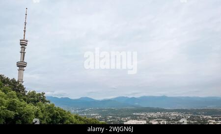 Ein majestätischer Turm erhebt sich anmutig auf einem üppigen Hügel und bietet ein atemberaubendes Panorama einer Stadtlandschaft, umgeben von dichtem Grün im Vordergrund. Stockfoto