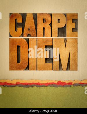 Carpe Diem - Genießen Sie das Leben, bevor es zu spät ist, existenzieller warnender lateinischer Satz von Horace - Text in Vintage-Buchdruckholz auf Kunstdruckpapier Stockfoto