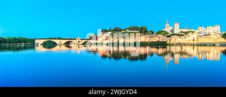 Frankreich - Panoramablick auf die mittelalterliche Stadt Avignon Stockfoto