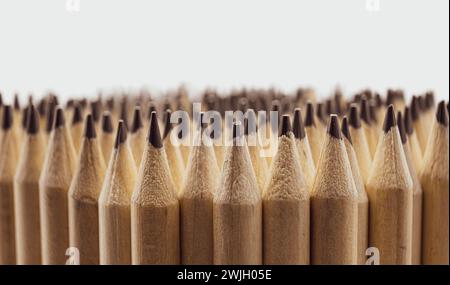 Gruppe von scharfen Holzstiften auf weißem Hintergrund Stockfoto