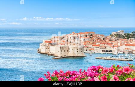Aus der Vogelperspektive der mittelalterlichen Stadt Dubrovnik in Kroatien Stockfoto