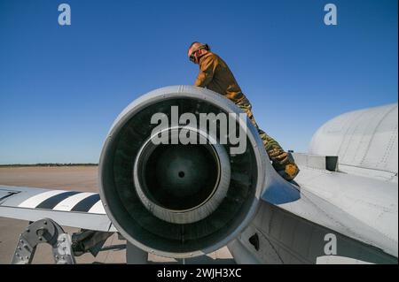 Tampa, Florida, USA. Februar 2024. U.S. Air Force Tech. Sgt. Jack Fraser, Crewchef der 442nd Aircraft Maintenance Squadron, führt im Februar eine Inspektion nach dem Flug auf einer A-10C Thunderbolt II durch, die der 303rd Fighter Squadron, Whiteman Air Force Base, Missouri, zugewiesen wurde. 6, 2024 bei MacDill AFB, Florida. Die A-10 kann eine Vielzahl von konventionellen Munitionen einsetzen, darunter Mehrzweckbomben, Streubombeneinheiten, lasergesteuerte Bomben und gemeinsame Munition mit direktem Angriff. Es nutzt die 30-mm-Kanone GAU-8/A, die 3.900 Schüsse pro Minute abfeuern kann, um eine Vielzahl von Zielen einschließlich Panzern zu besiegen Stockfoto