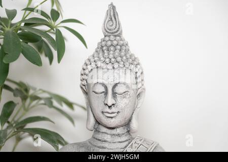 Nahaufnahme des Gesichts einer dekorativen Buddha-Statuette neben einigen Pflanzen. Weißer Hintergrund Stockfoto