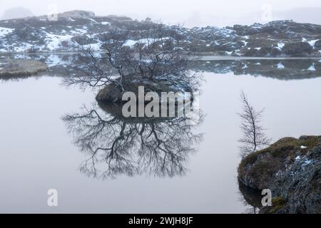 Abend am See. Spätes Tageslicht, Nebel und regnerisches Wetter ließen die Fotos einfarbig mit einem Blauton erscheinen. Details zu den kleinen Vulkaninseln A Stockfoto