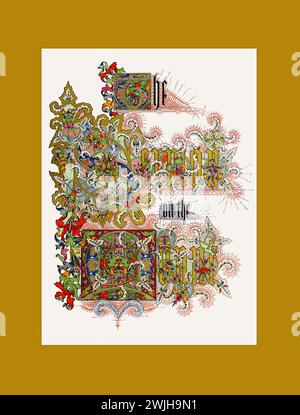 Wunderschön illustriert von Charles Rolt, antik gravierte viktorianische botanische Illustration der Bergpredigt, veröffentlicht 1861. Copyright ha Stockfoto